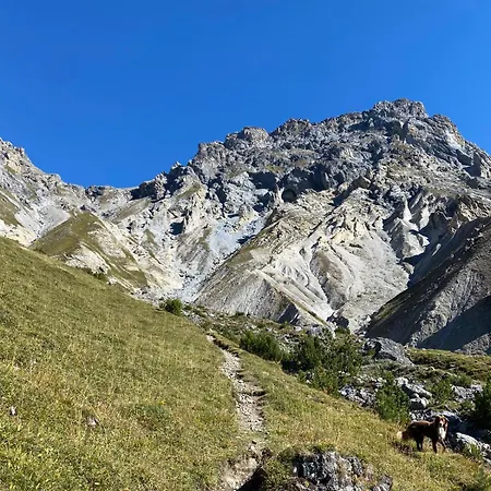 Chasa Veglia Apartment Sent