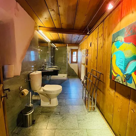 Apartment Chasa Veglia *