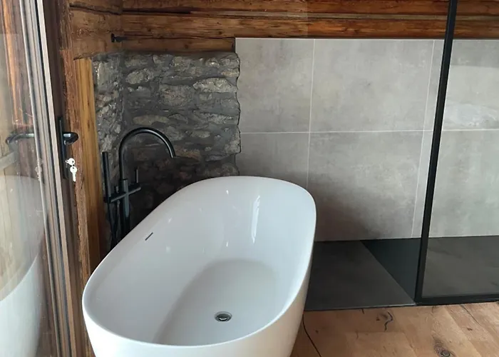 Apartment Chasa Veglia *