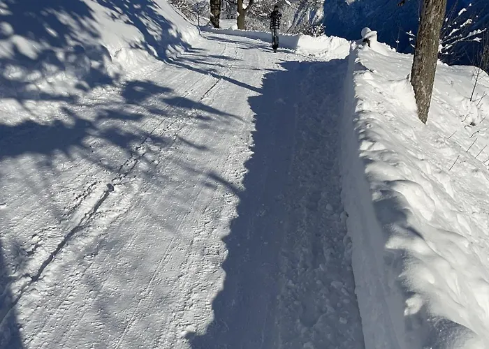 Apartment Chasa Veglia Sent