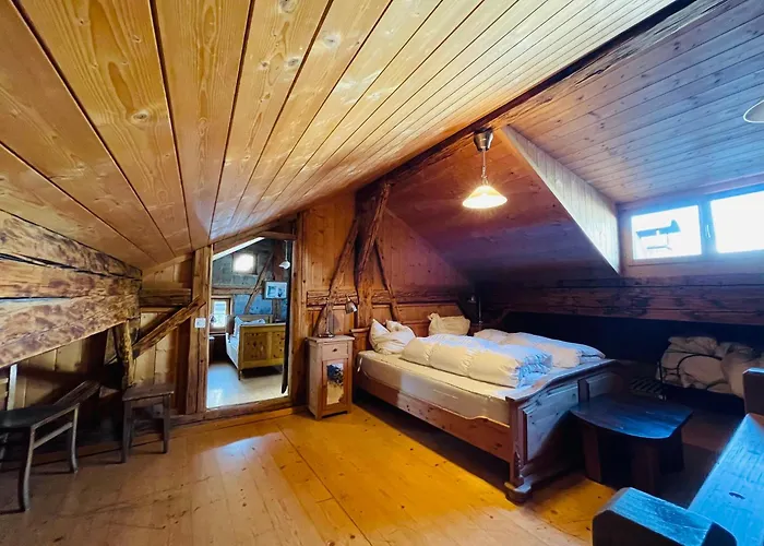 Apartment Chasa Veglia *