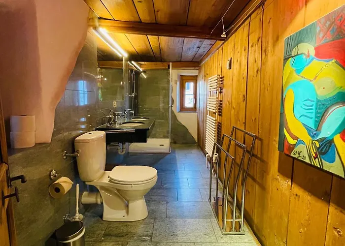 Apartment Chasa Veglia *